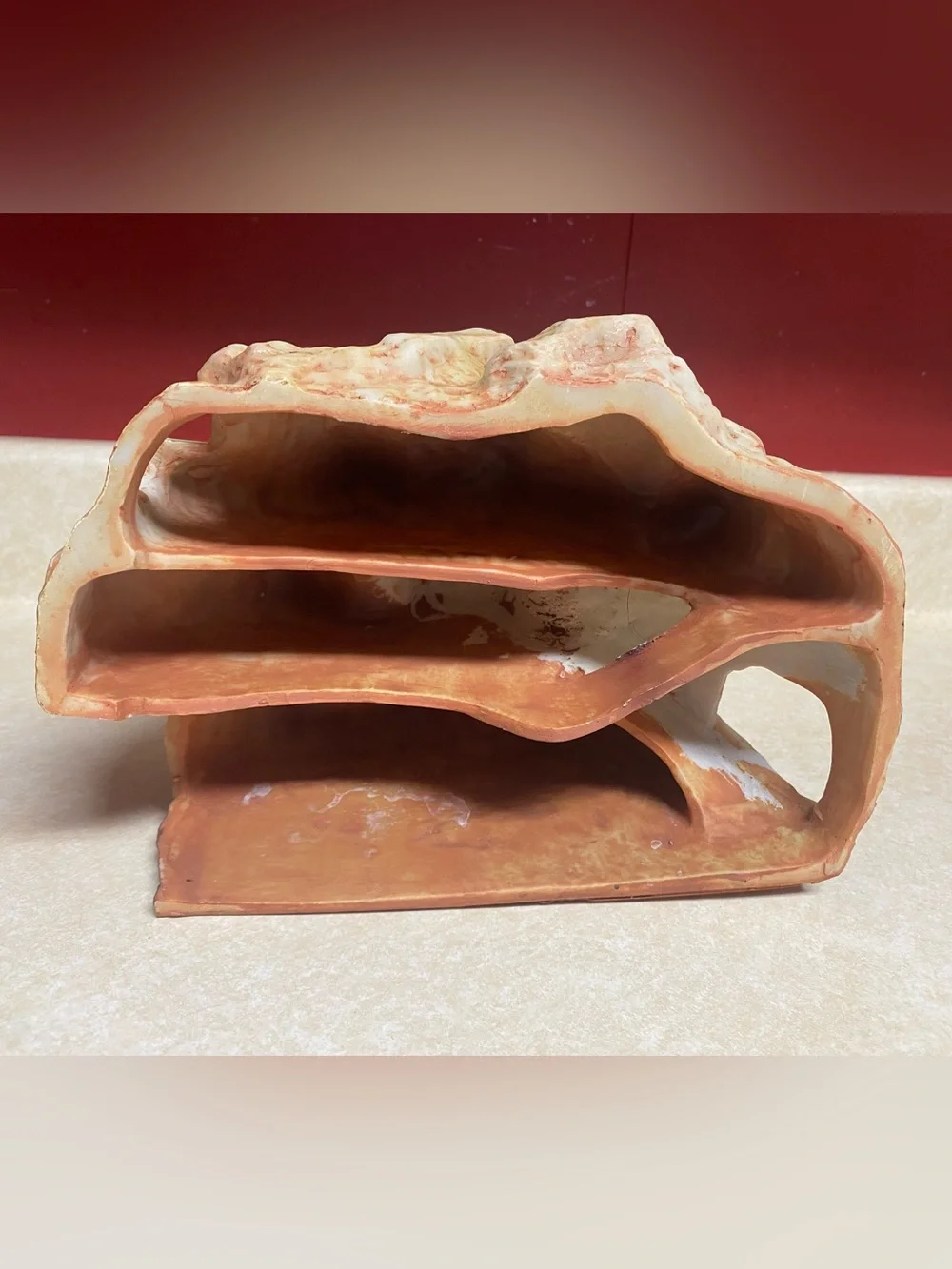 Reptile Hide